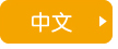 中文